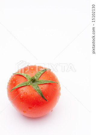 Tomato   15102130