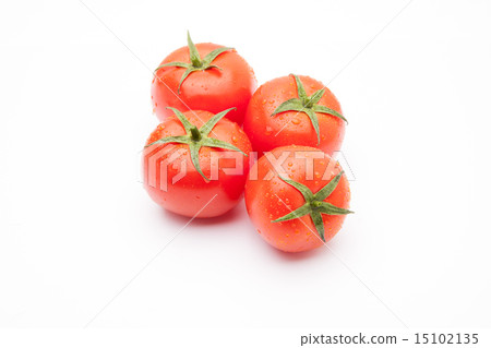 蕃茄 15102135