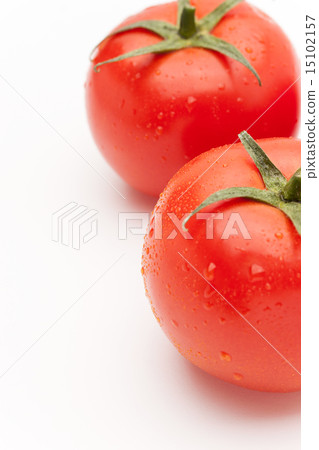 蕃茄 15102157