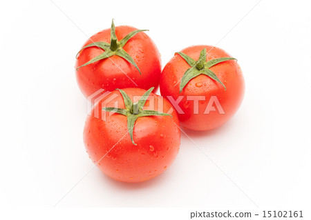 Tomato   15102161