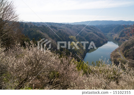 Nazari River from Tsukigase Umebayashi 15102355