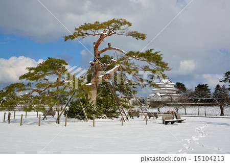 日本100 Masuki Shibata城堡 15104213