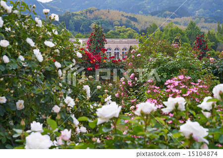 Kawazu Bagatelle Park, Overlooking Multipurpose Hall from Rose Garden 15104874