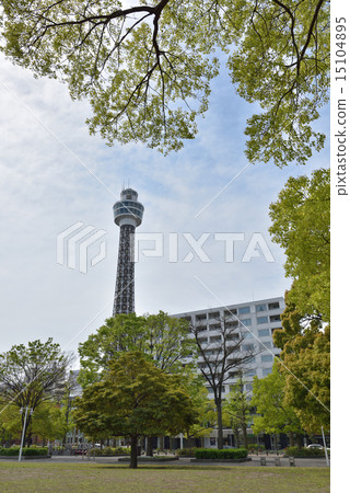 Yokohama's tourist attraction "Yamashita Park" 15104895
