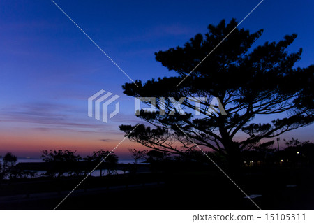 名護21世紀森林公園 名護21世紀森林公園 15105311