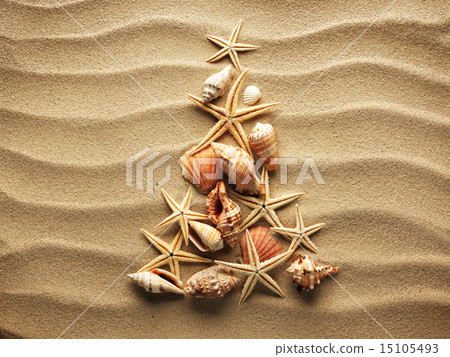 Sea shell on sand Sea shell on sand 15105493