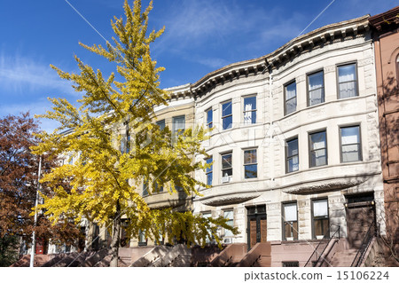 New York City Brownstones in Autumn New York City Brownstones in Autumn 15106224