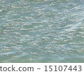 Flock of mackerel 15107443