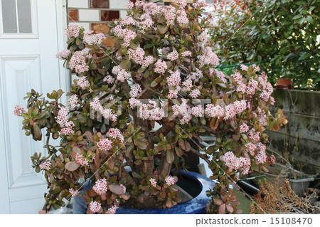 錢金樹2015 = 3 = 15108470