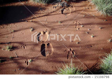 Rudall River outback 15108798