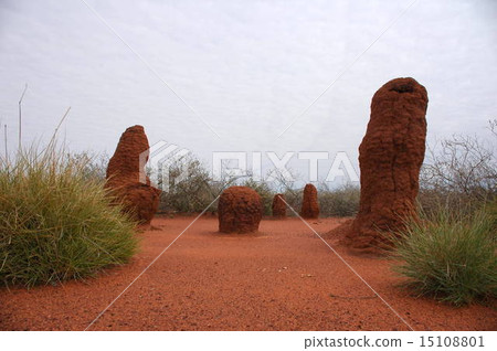 Rudall River outback 15108801