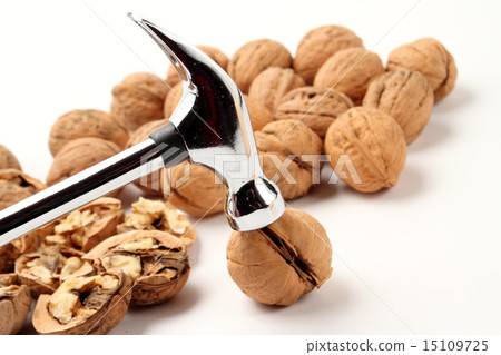 Coconut walnut Coconut walnut 15109725