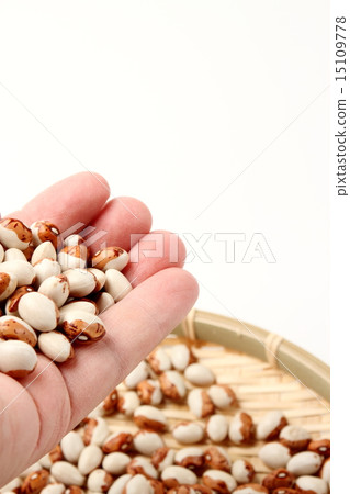 一個豆子 一個豆子 15109778