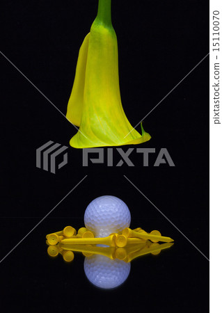 Yellow calla lily and golf ball Yellow calla lily and golf ball 15110070