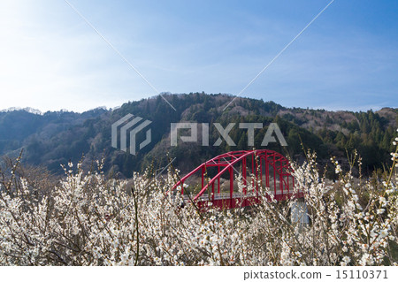 Ume and Tsukigase Bridge 15110371