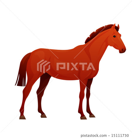 Realistic horse with red coat. 15111730