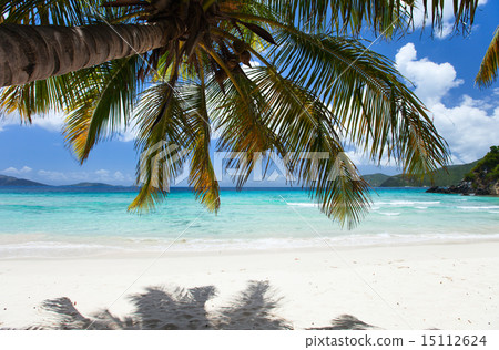 Beautiful tropical beach at Caribbean 15112624