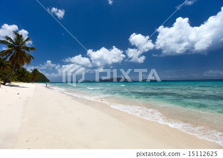 Beautiful tropical beach at Caribbean Beautiful tropical beach at Caribbean 15112625