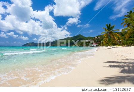 Beautiful tropical beach at Caribbean Beautiful tropical beach at Caribbean 15112627
