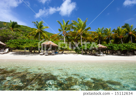 Beautiful tropical beach at Caribbean 15112634