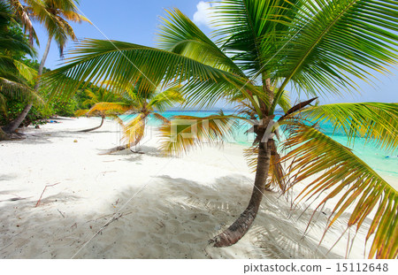 Beautiful tropical beach at Caribbean 15112648