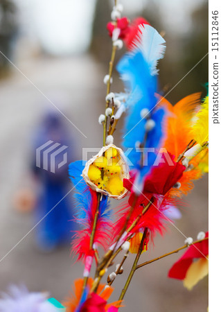 Easter pussy willow branches Easter pussy willow branches 15112846