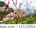 Spring in Manarola village in Cinque Terre 15112854