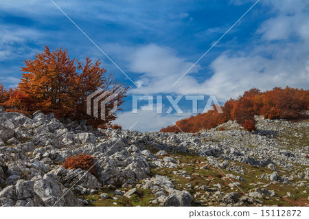 Mehedinti Mountains 15112872