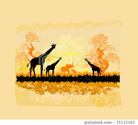 African savannah 15113163