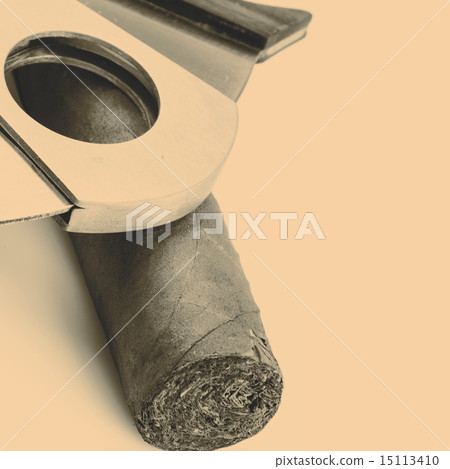 Cigar and cutter on a white background 15113410