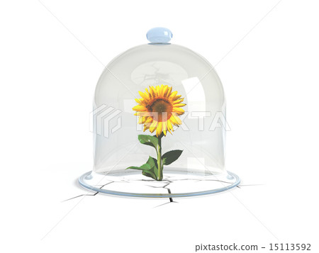 Force of Nature 15113592