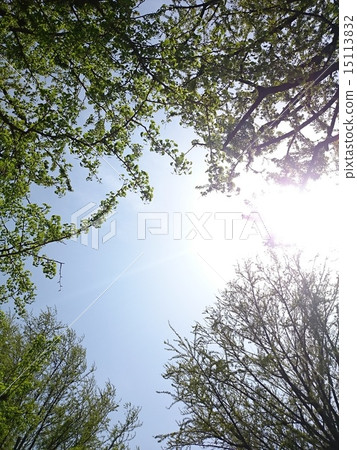 April Fresh green April Fresh green 15113832