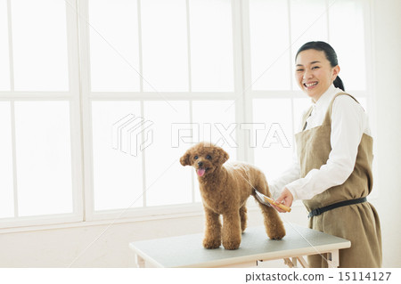 修剪器/獸醫 15114127