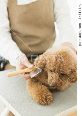 修剪器/獸醫 修剪器/獸醫 15114129