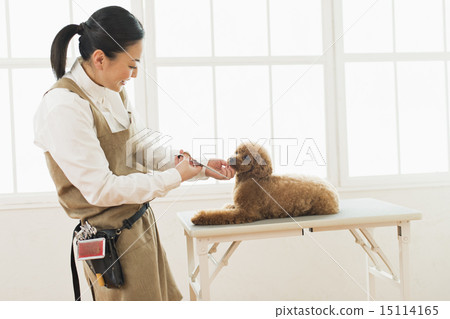 Trimmer / Veterinarian 15114165