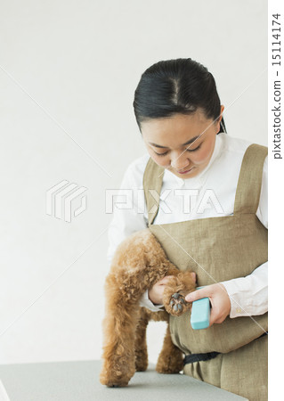Trimmer / Veterinarian 15114174