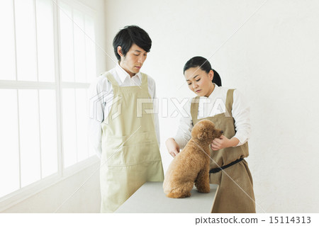 Trimmer / Veterinarian Trimmer / Veterinarian 15114313