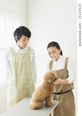 Trimmer / Veterinarian Trimmer / Veterinarian 15114314