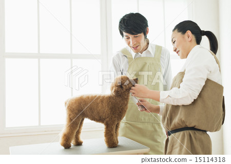 修剪器/獸醫 15114318