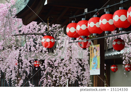 京都祗園國分舞蹈學校 京都祗園國分舞蹈學校 15114330