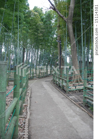 Sparrow in Osaka Greenery Park (Himei-gun, Meguro-ku, Tokyo) 15114381