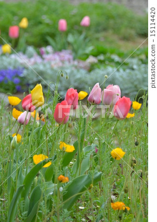 春天的花園 春天的花園 15114420