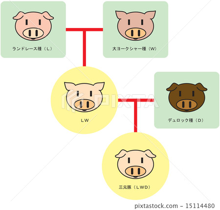 三元豬交配圖(可愛版) 三元豬交配圖(可愛版) 15114480