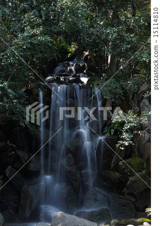Masahito's waterfall Park's man Falls and surrounding camellia 15114810
