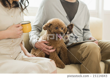 修剪器/獸醫 修剪器/獸醫 15114843