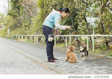 Trimmer / Veterinarian 15115105
