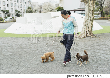 Trimmer / Veterinarian 15115108