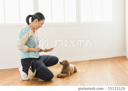 Trimmer / Veterinarian Trimmer / Veterinarian 15115129