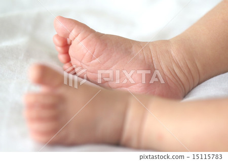 新生兒的腳 新生兒的腳 15115783
