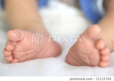 新生兒的腳 15115784